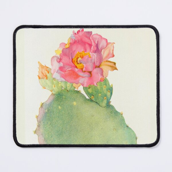 Item preview, Opuntia basilaris by Margaret Armstrong (c.1915)  designed and sold by Vernissage-dart.