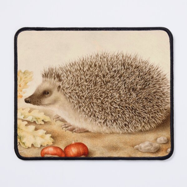 Item preview, Hedgehog with Acorns and Snail by Giovanna Garzoni (c.1643–1651) designed and sold by Vernissage-dart.