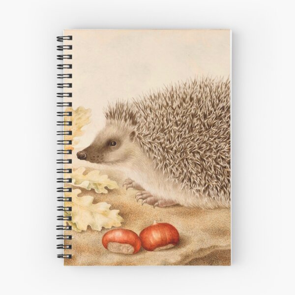 Item preview, Hedgehog with Acorns and Snail by Giovanna Garzoni (c.1643–1651)  designed and sold by Vernissage-dart.