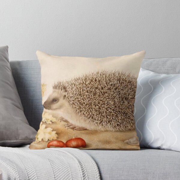 Item preview, Hedgehog with Acorns and Snail by Giovanna Garzoni (c.1643–1651)  designed and sold by Vernissage-dart.