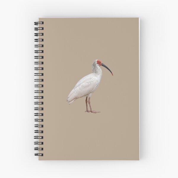 Item preview,  Crested Ibis designed and sold by ArunDandiboina.