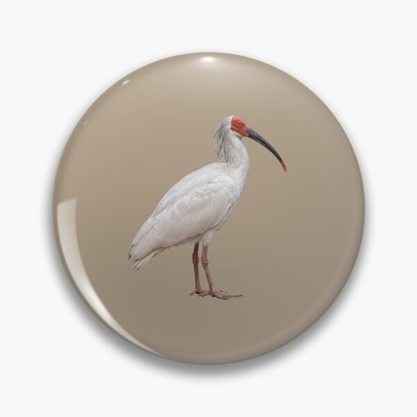 Item preview,  Crested Ibis designed and sold by ArunDandiboina.