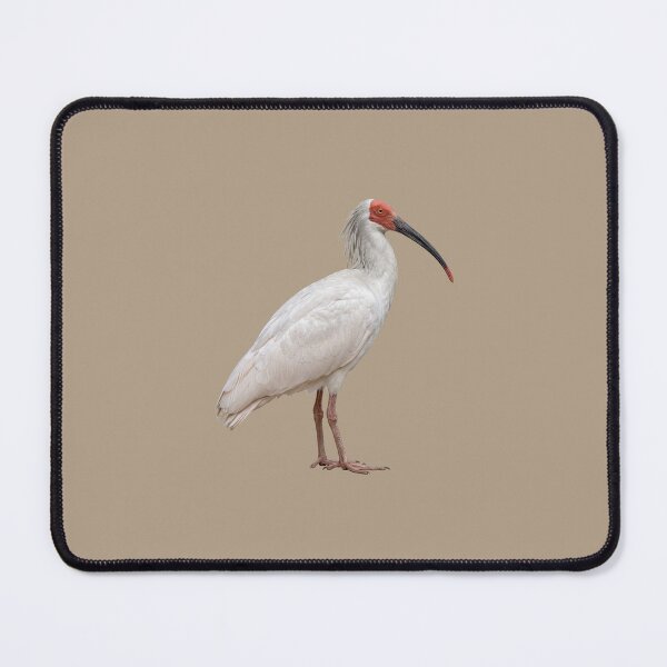 Item preview, Crested Ibis designed and sold by ArunDandiboina.