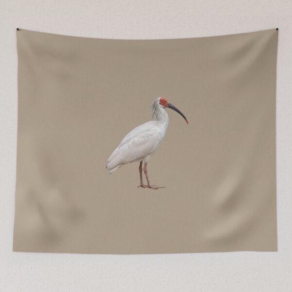Item preview,  Crested Ibis designed and sold by ArunDandiboina.