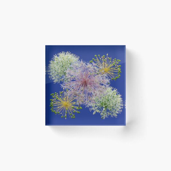 Item preview, Minimalist White Allium Decorative Garlic Flower Macro  designed and sold by JurateArt-DK.