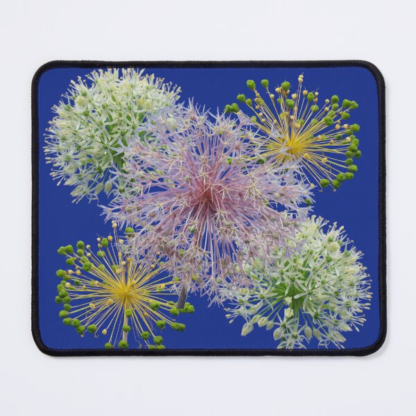 Item preview, Minimalist White Allium Decorative Garlic Flower Macro  designed and sold by JurateArt-DK.