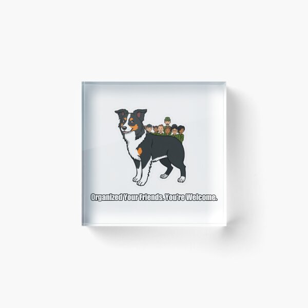 Item preview, Border Collie - Organized Your Friends Youre Welcome - Funny Border Collie Gift designed and sold by pawdrops.