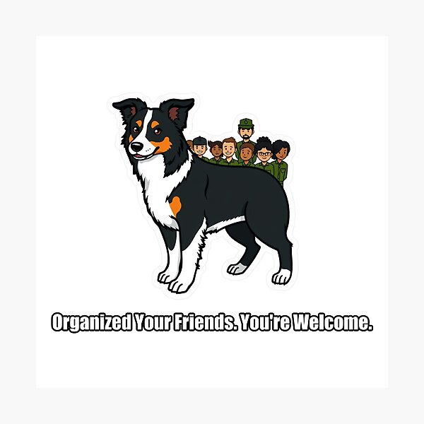 Item preview, Border Collie - Organized Your Friends Youre Welcome - Funny Border Collie Gift designed and sold by pawdrops.
