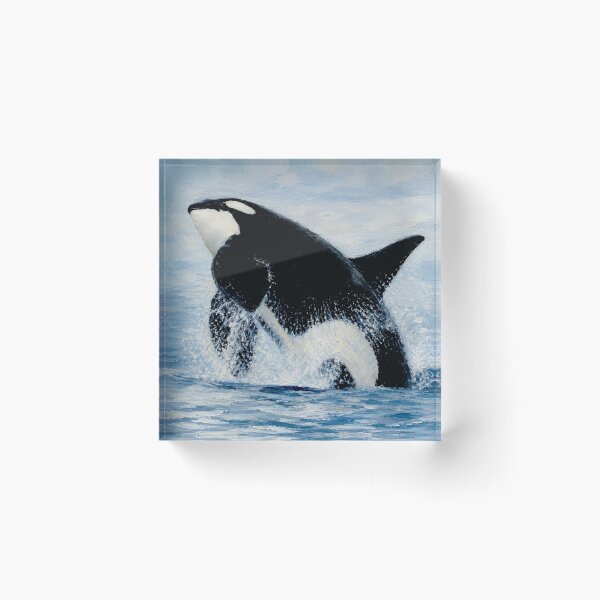 Item preview, Orca breaching designed and sold by Island Art Studios.