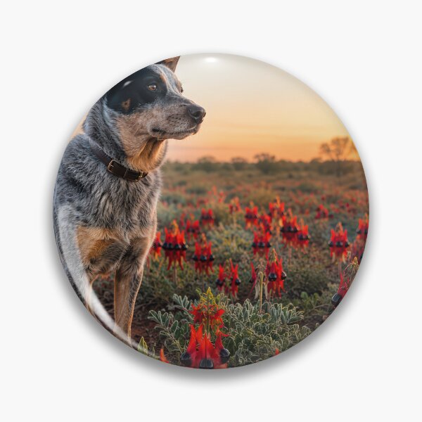 Item preview, Australian Cattle Dog designed and sold by andreisky.