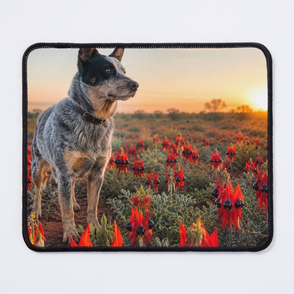 Item preview, Australian Cattle Dog designed and sold by andreisky.