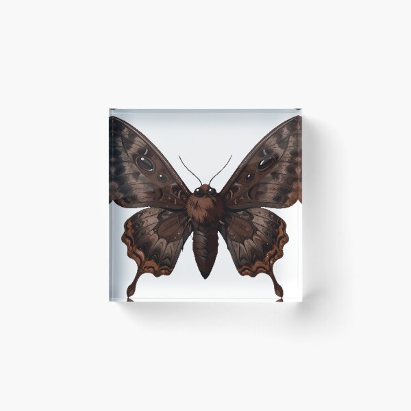 Item preview, Dark Moth Cocoa Powder Wings designed and sold by IllumeInk.