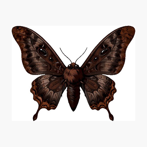 Item preview, Dark Moth Cocoa Powder Wings designed and sold by IllumeInk.