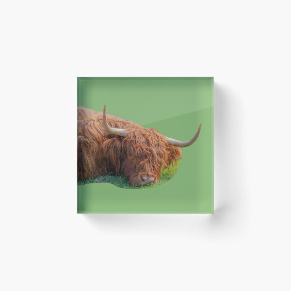 Item preview, Just lazing in the sun designed and sold by Dalyndigital Photography.