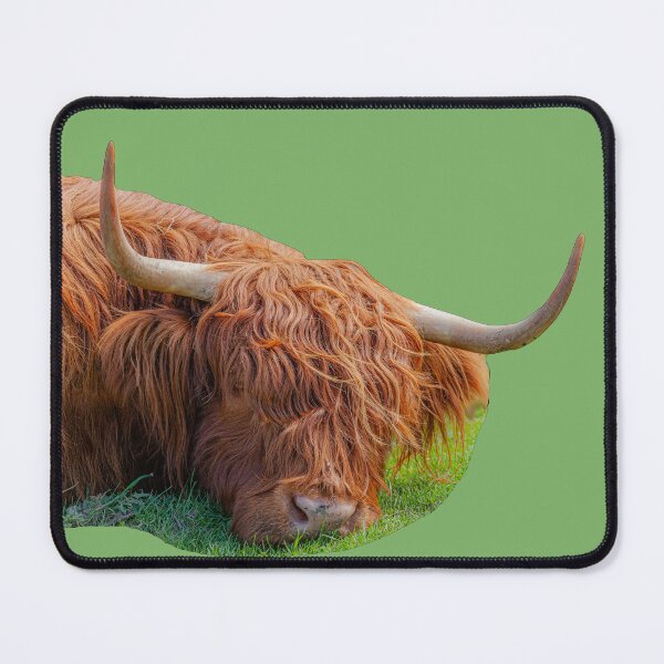 Item preview, Just lazing in the sun designed and sold by Dalyndigital Photography.