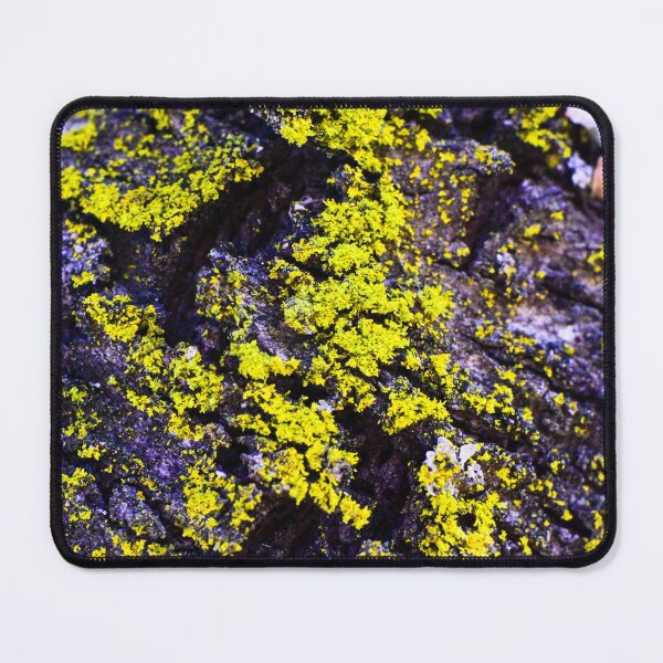 Item preview, Moss Shelter: Nature Art designed and sold by Davekyoart.