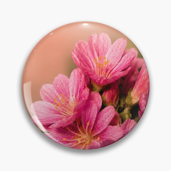 Item preview, Pink Lewisia Cotyledon – Fine Art Botanical Photography designed and sold by ViolafleurViolett.
