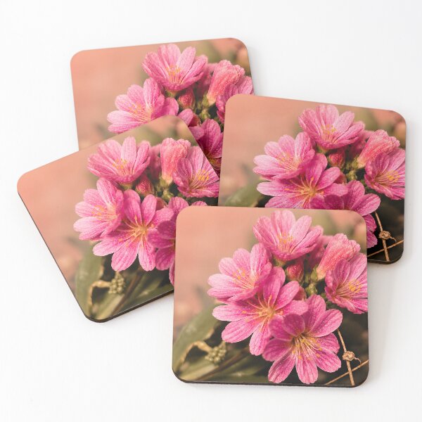 Item preview, Pink Lewisia Cotyledon – Fine Art Botanical Photography designed and sold by ViolafleurViolett.