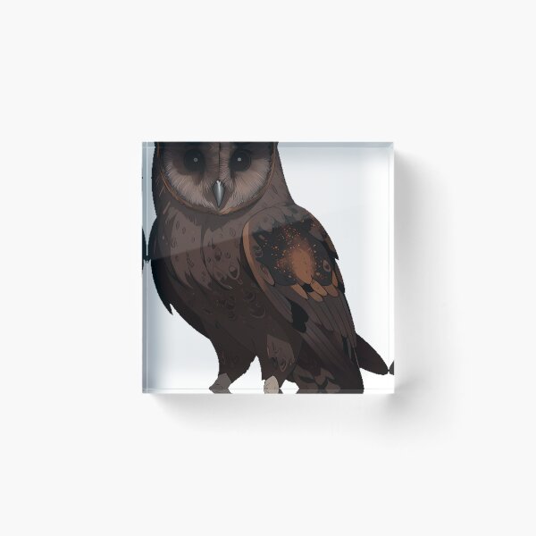 Item preview, Barn Owl Dark Cocoa Feathers designed and sold by IllumeInk.
