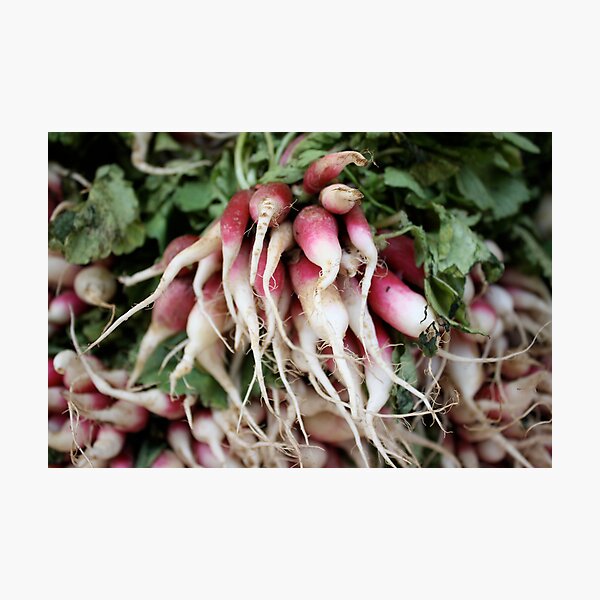Aperçu de l'œuvre Radishes créée et vendue par BLAMB.
