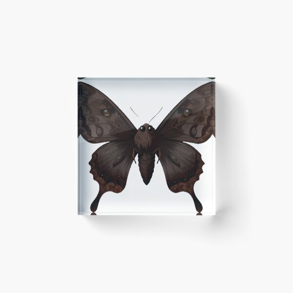 Item preview, Moth Cocoa Dust Wings Spread designed and sold by IllumeInk.