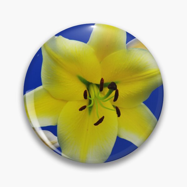 Item preview, Minimalist Yellow Lily Flower Macro Photography Art Collage designed and sold by JurateArt-DK.