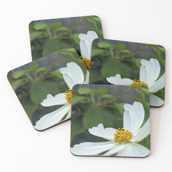 Item preview, White Cosmos Flower Against Garden Fence, Botanical Photography designed and sold by PrettyAround.