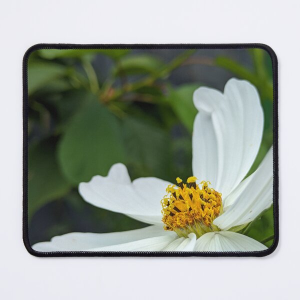 Item preview, White Cosmos Flower Against Garden Fence, Botanical Photography designed and sold by PrettyAround.