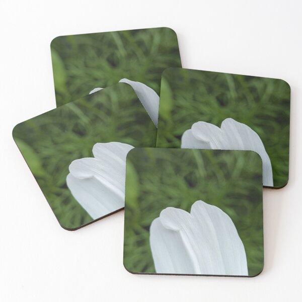 Item preview, White Cosmos Petal Tips, Extreme Macro Botanical Photography designed and sold by PrettyAround.