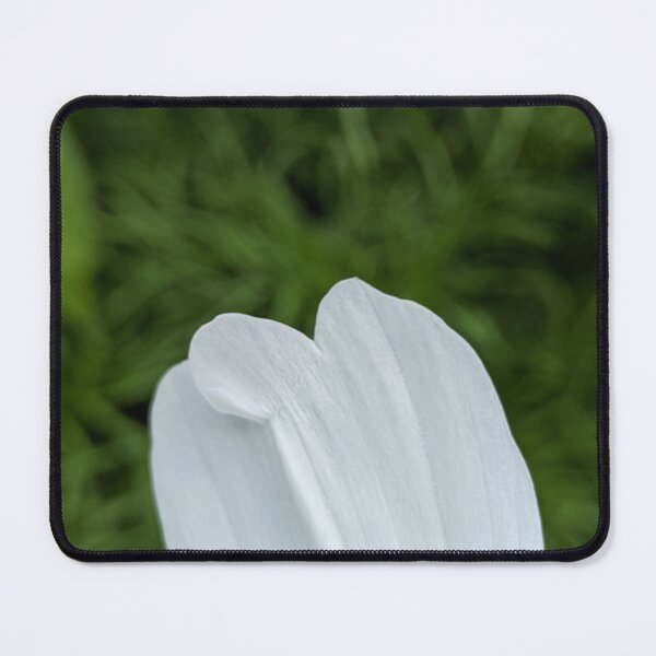Item preview, White Cosmos Petal Tips, Extreme Macro Botanical Photography designed and sold by PrettyAround.