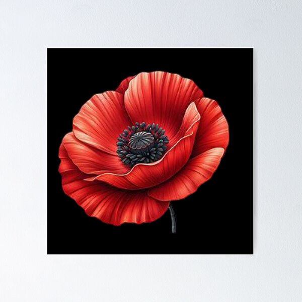 Item preview, Vibrant Red Poppy on Black Background designed and sold by Munsonlookfor.