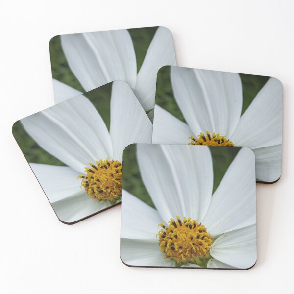 Item preview, White Cosmos Flower Centre, Extreme Macro Stamens Detail designed and sold by PrettyAround.