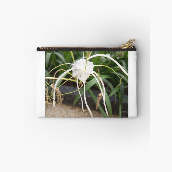 Item preview, White Spider Lily Flower Close Up in Tropical Garden designed and sold by PhuongVoArt.