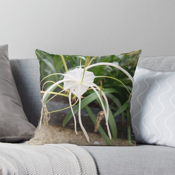 Item preview, White Spider Lily Flower Close Up in Tropical Garden designed and sold by PhuongVoArt.