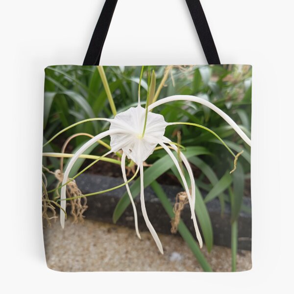 Artikelvorschau, White Spider Lily Flower Close Up in Tropical Garden entworfen und verkauft von PhuongVoArt.