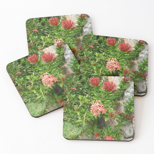 Item preview, Red Ixora Flowers Blooming in Tropical Garden Close Up designed and sold by PhuongVoArt.