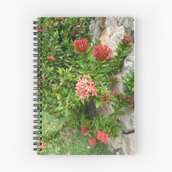 Item preview, Red Ixora Flowers Blooming in Tropical Garden Close Up designed and sold by PhuongVoArt.
