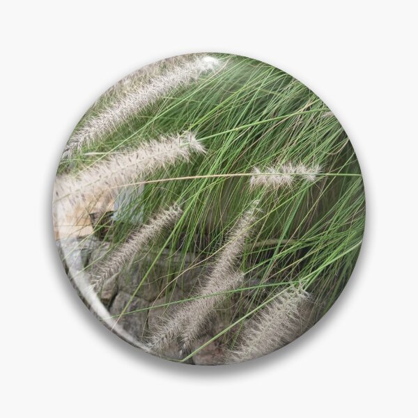 Item preview, Fountain Grass with Soft Feathery Plumes in Tropical Garden designed and sold by PhuongVoArt.