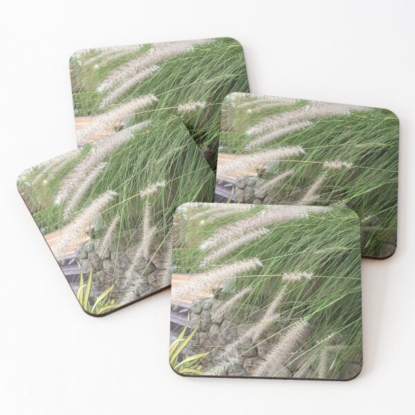Item preview, Fountain Grass with Soft Feathery Plumes in Tropical Garden designed and sold by PhuongVoArt.