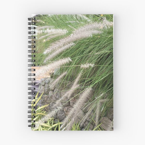 Item preview, Fountain Grass with Soft Feathery Plumes in Tropical Garden designed and sold by PhuongVoArt.