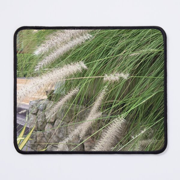 Item preview, Fountain Grass with Soft Feathery Plumes in Tropical Garden designed and sold by PhuongVoArt.