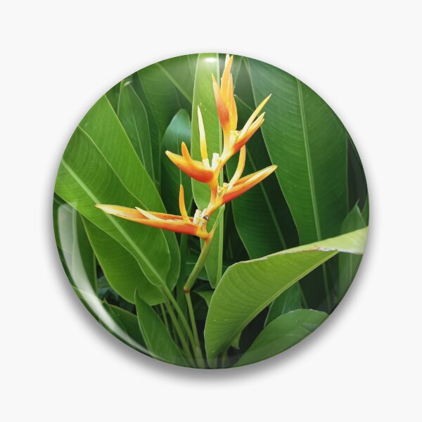 Artikelvorschau, Orange Heliconia Flower with Lush Green Tropical Leaves entworfen und verkauft von PhuongVoArt.