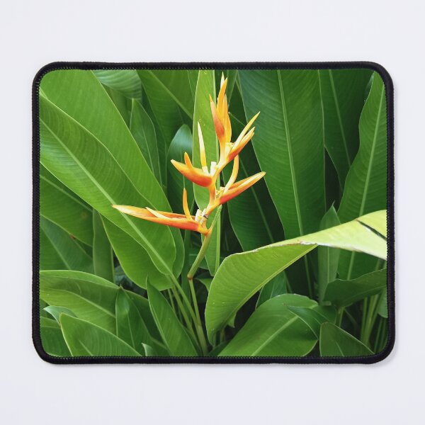 Item preview, Orange Heliconia Flower with Lush Green Tropical Leaves designed and sold by PhuongVoArt.