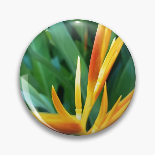 Item preview, Orange Heliconia Flower Close Up with Green Tropical Leaves designed and sold by PhuongVoArt.