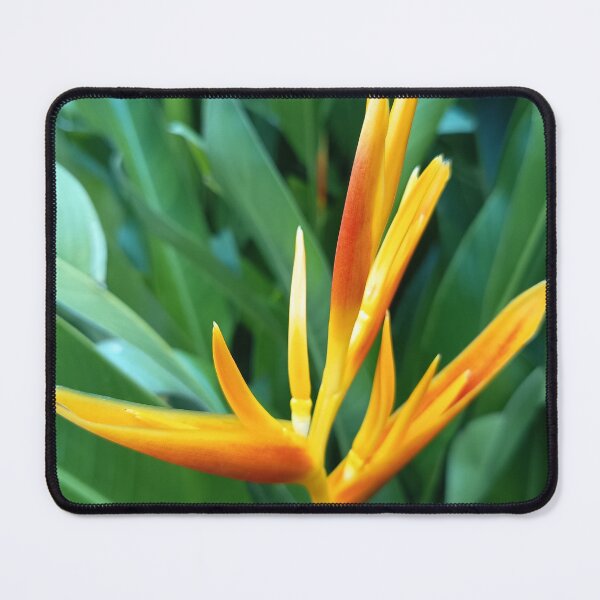 Item preview, Orange Heliconia Flower Close Up with Green Tropical Leaves designed and sold by PhuongVoArt.