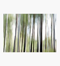Cottan-Bimbang #1 Photographic Print