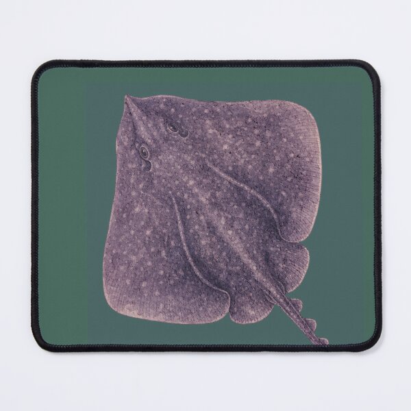 Item preview, Vintage Deep Sea Skate Fish Illustration designed and sold by MonsoonInkX.