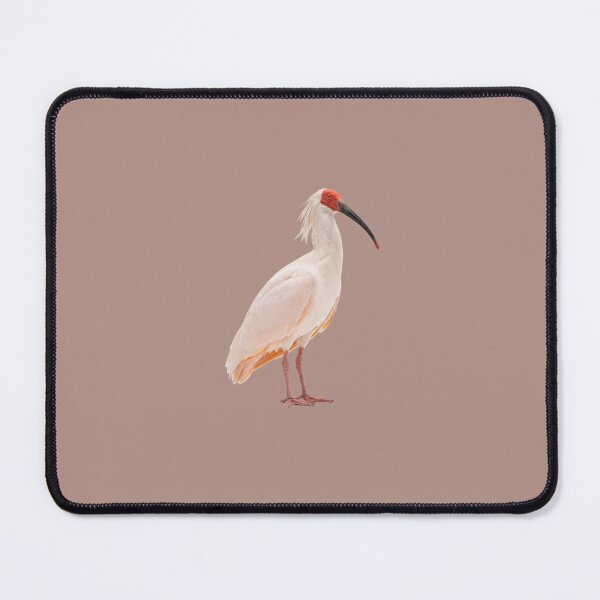 Item preview, Japanese Crested Ibis designed and sold by ArunDandiboina.