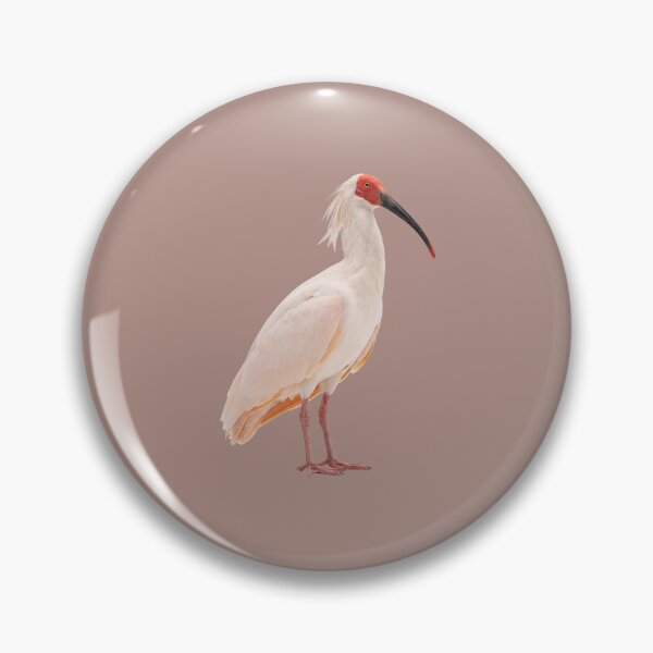 Item preview, Japanese Crested Ibis designed and sold by ArunDandiboina.