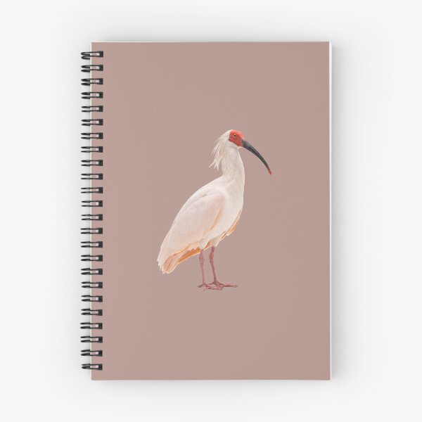 Item preview, Japanese Crested Ibis designed and sold by ArunDandiboina.